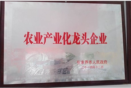 張家界千總生態(tài)食品有限公司,豆類食品生產(chǎn)加工銷售,血豆腐生產(chǎn)加工銷售,豆奶生產(chǎn)加工銷售 張家界千總生態(tài)食品有限公司,豆類食品生產(chǎn)加工銷售,血豆腐生產(chǎn)加工銷售,豆奶生產(chǎn)加工銷售